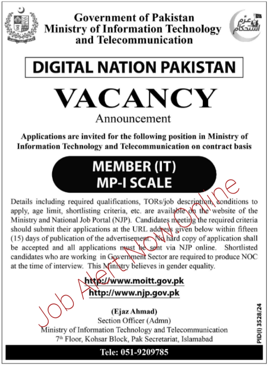 Role at the Ministry of Information Technologies