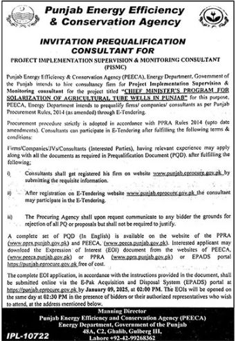 Consultant Needed in Punjab's Energy Department 2025